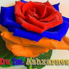 Схема вышивки «Цветами Армении»