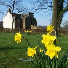 Схема вышивки «Пейзаж»