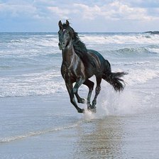 Схема вышивки «бег»