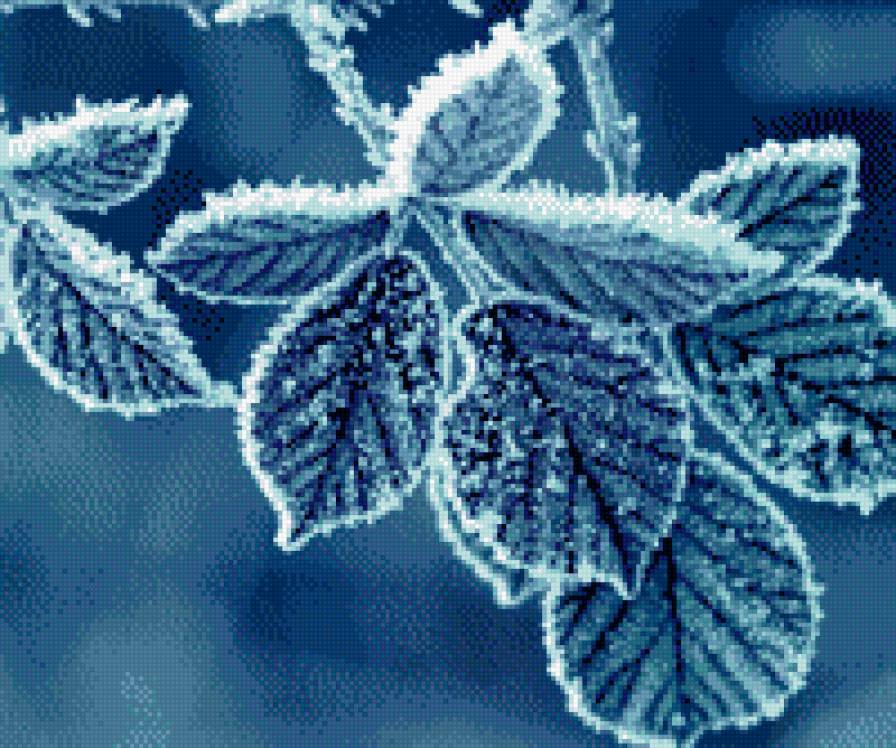 изморозь - природа, иней - предпросмотр