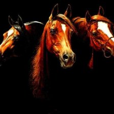 Схема вышивки «Лошади»