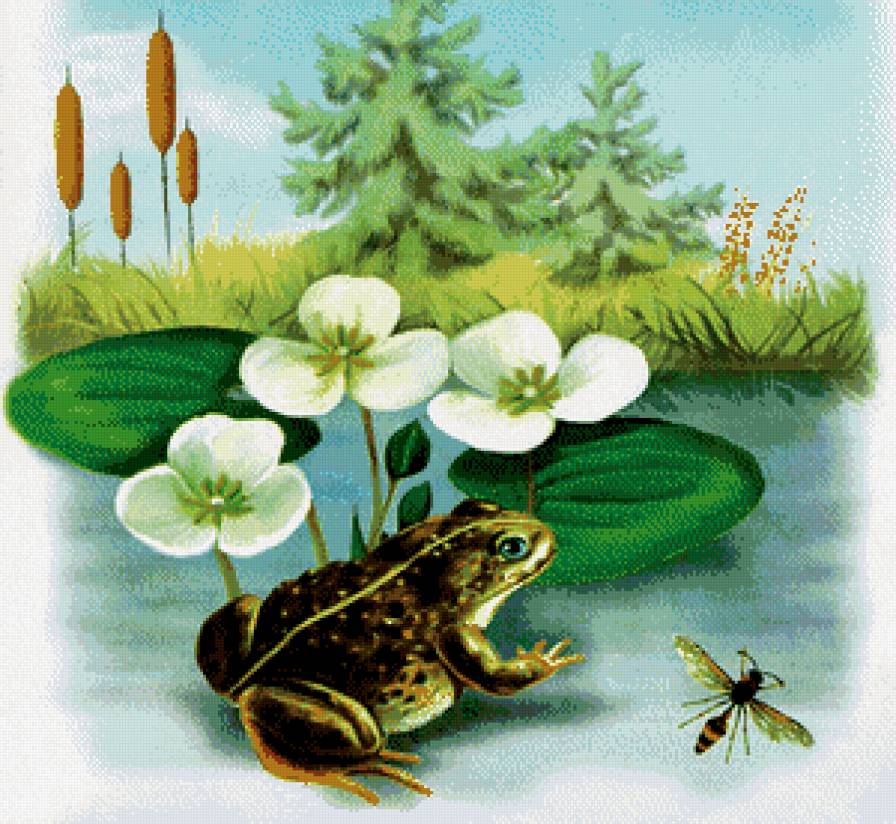 болото - кувшинки, болото, природа, лягушка - предпросмотр