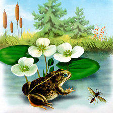 Схема вышивки «болото»