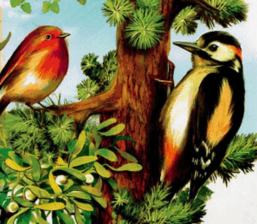 дятел - клест, природа, дятел, дерево, птицы - предпросмотр