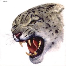 Схема вышивки «№501789»