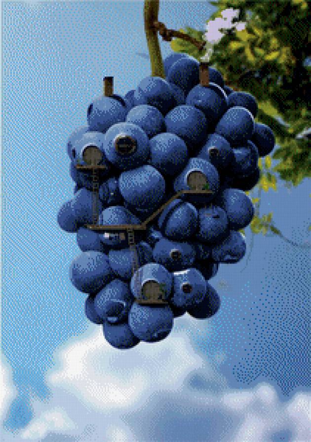 фентези-домик из винограда - домик, красота, виноград, фентези, фрукты - предпросмотр