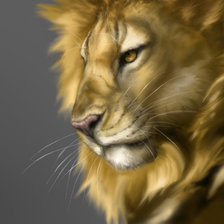 Схема вышивки «Лев»