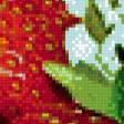 Предпросмотр схемы вышивки «клубника» (№501872)
