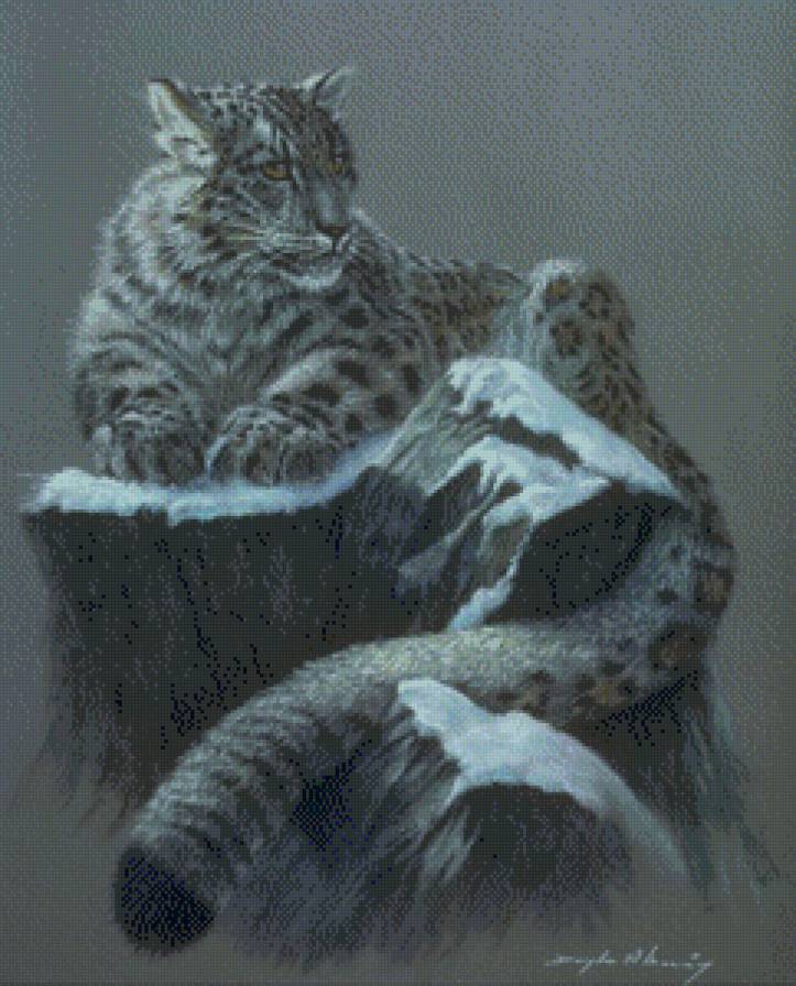 Снежный барс - животные, природа, дикие животные, коты - предпросмотр