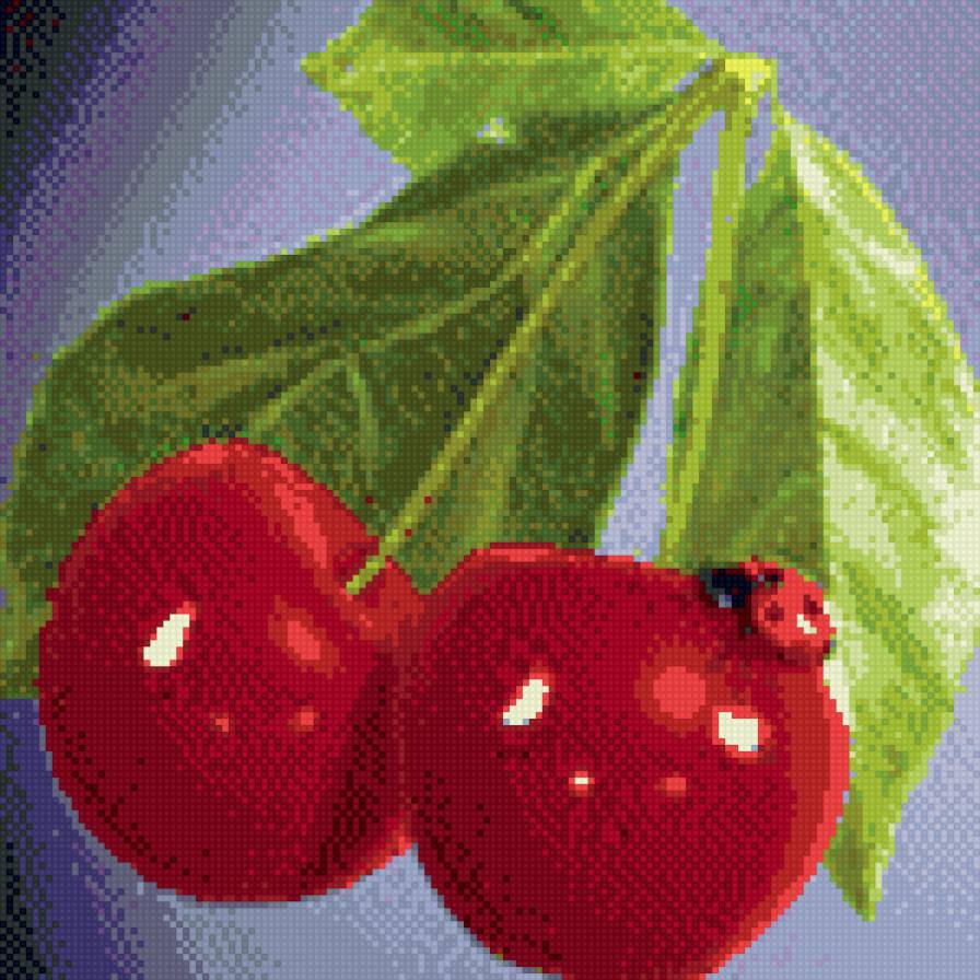 Вишня - предпросмотр