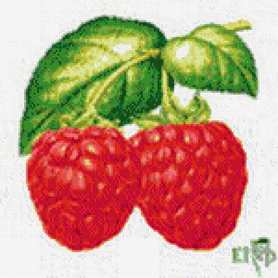 малина - предпросмотр