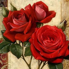 Схема вышивки «Розы»