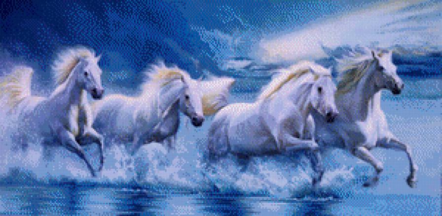 Лошади и море - лошади и море - предпросмотр