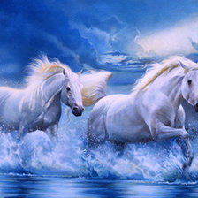 Лошади и море