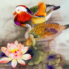 Схема вышивки «пара мандаринок»