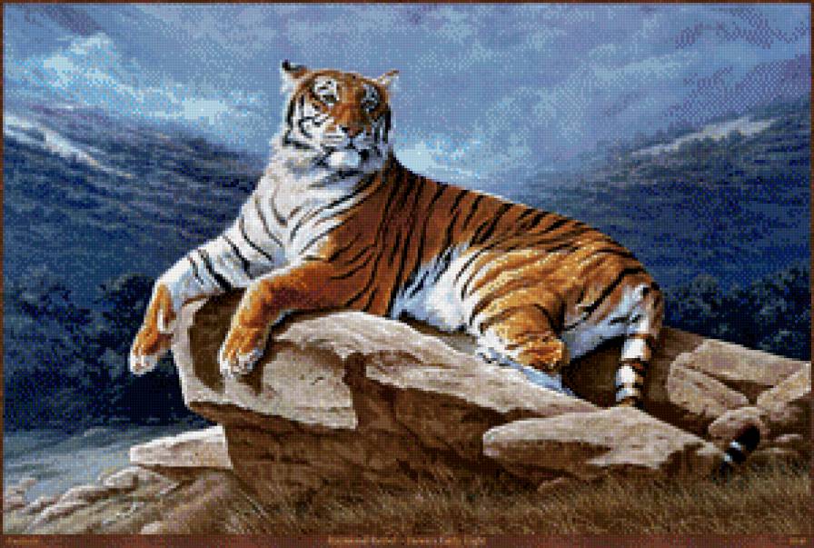 Серия "Большие кошки" - горы, кошки, тигры, пейзаж, животные - предпросмотр