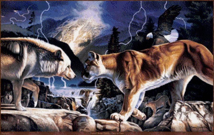 Северное противостояние - орлы, животные, птицы, пумы, кошки, река, пейзаж, волки, горы - предпросмотр