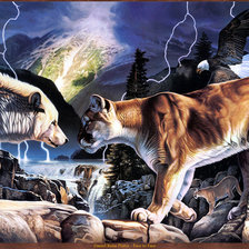 Схема вышивки «Северное противостояние»