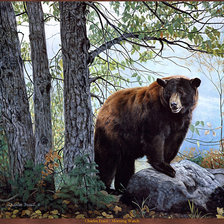 Схема вышивки «Серия "Медведи"»