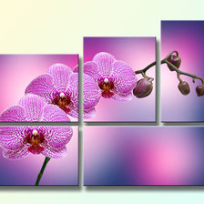 Схема вышивки «триптих ЦВЕТОк»