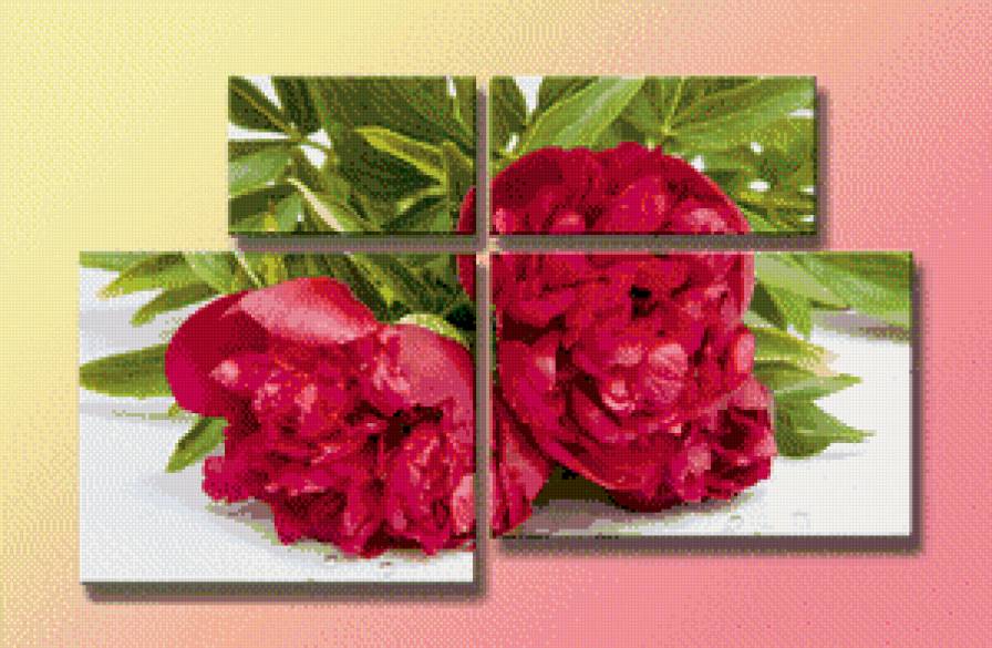 триптих пион - цветы, пион, триптих - предпросмотр