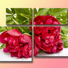 Схема вышивки «триптих пион»