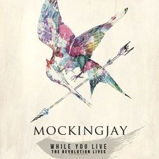 Схема вышивки «The Hunger Games»