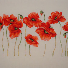 Схема вышивки «маки бородея»