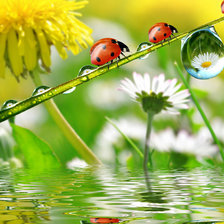 Схема вышивки «отражение»