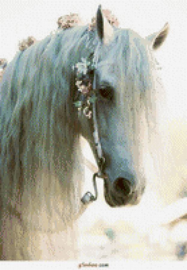 белая лошадь - лошади, животные - предпросмотр