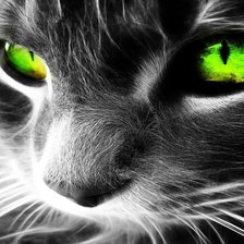 Схема вышивки «киса»