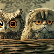 Схема вышивки «Глазастики»