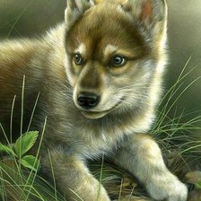 Схема вышивки «Волчёнок»