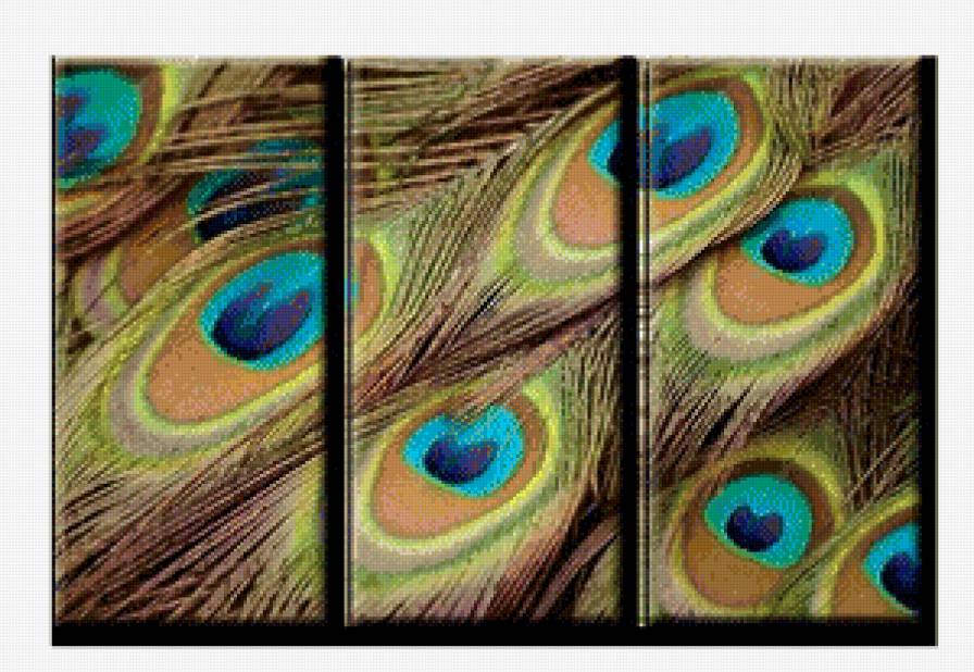 триптих павлиньи перья - перья, павлин - предпросмотр