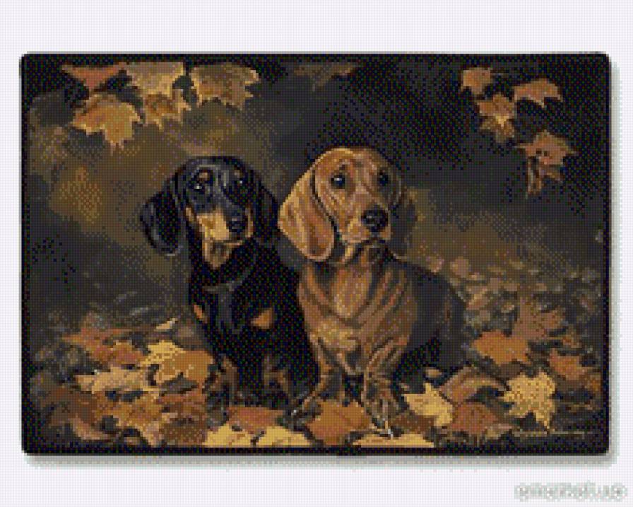 таксы - собаки, такса, осень - предпросмотр