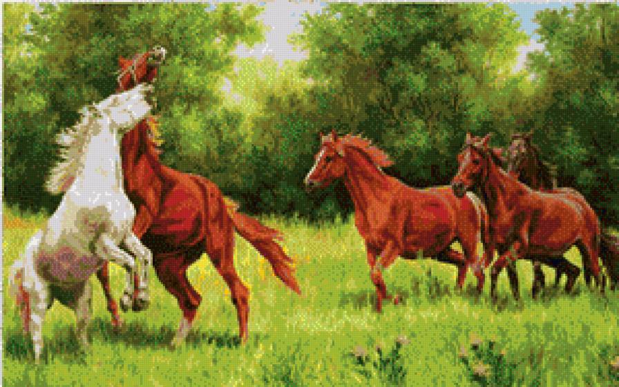 лошади - конь, лошадь, животные - предпросмотр