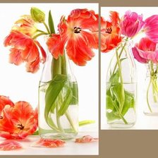 Схема вышивки «триптих тюльпаны»