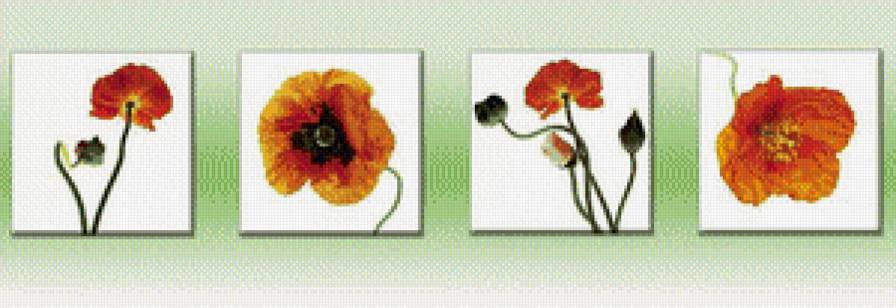 полиптих цветы - триптих, цветы, маки - предпросмотр