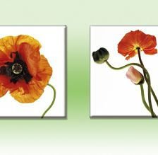 Схема вышивки «полиптих цветы»