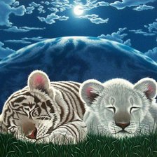 Схема вышивки «0166»