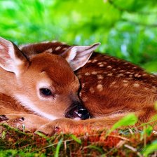 Схема вышивки «0169»