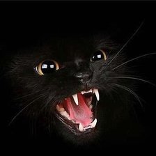 Схема вышивки «черный кот»