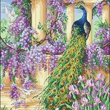 Схема вышивки «№503590»