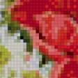 Предпросмотр схемы вышивки «маки» (№503615)