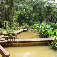 Схема вышивки «Природа Тайланда»