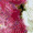 Предпросмотр схемы вышивки «"Piwonie"Rzepczynski» (№503774)