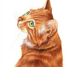 Схема вышивки «рыжая кошка»