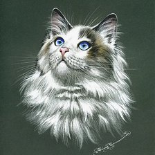 Схема вышивки «котик»