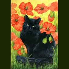 Схема вышивки «на маковом лугу»