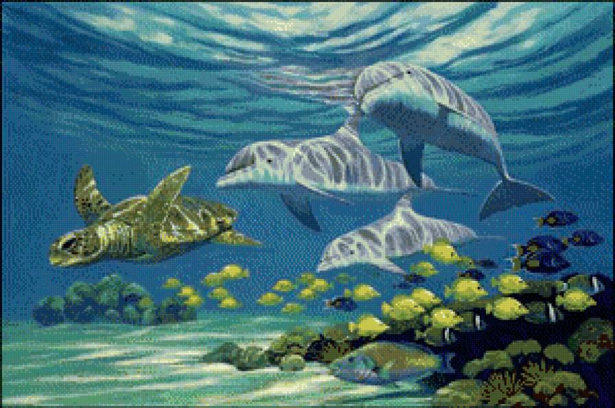 дельфины - вода, море, рыбы - предпросмотр